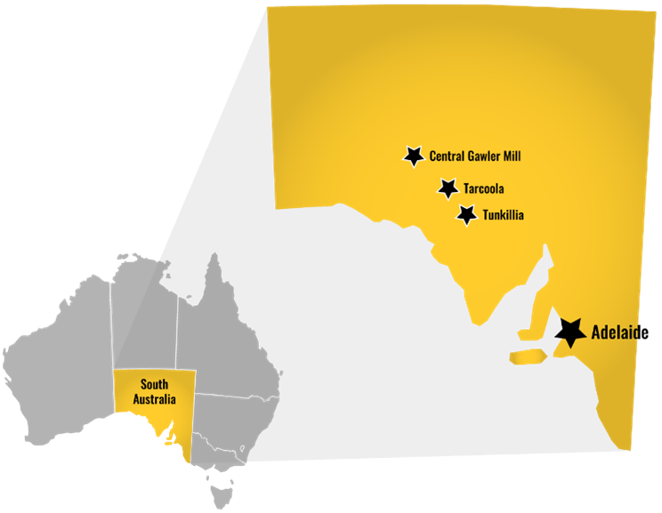 Acquisition of Wudinna Gold Project – Binding Terms to Acquire 279koz Au South Australian Project