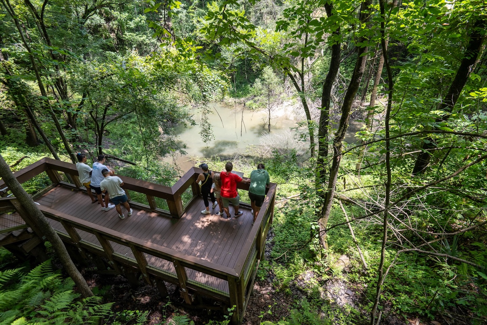 Looking to Beat the Heat this Summer? Live Wildly Shares Florida’s Top Five Spots to Cool Off in Nature