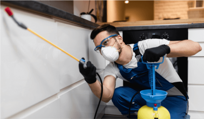 GreenLeaf Pest Solutions Debuts Eco-Friendly Control for The Commercial Sector