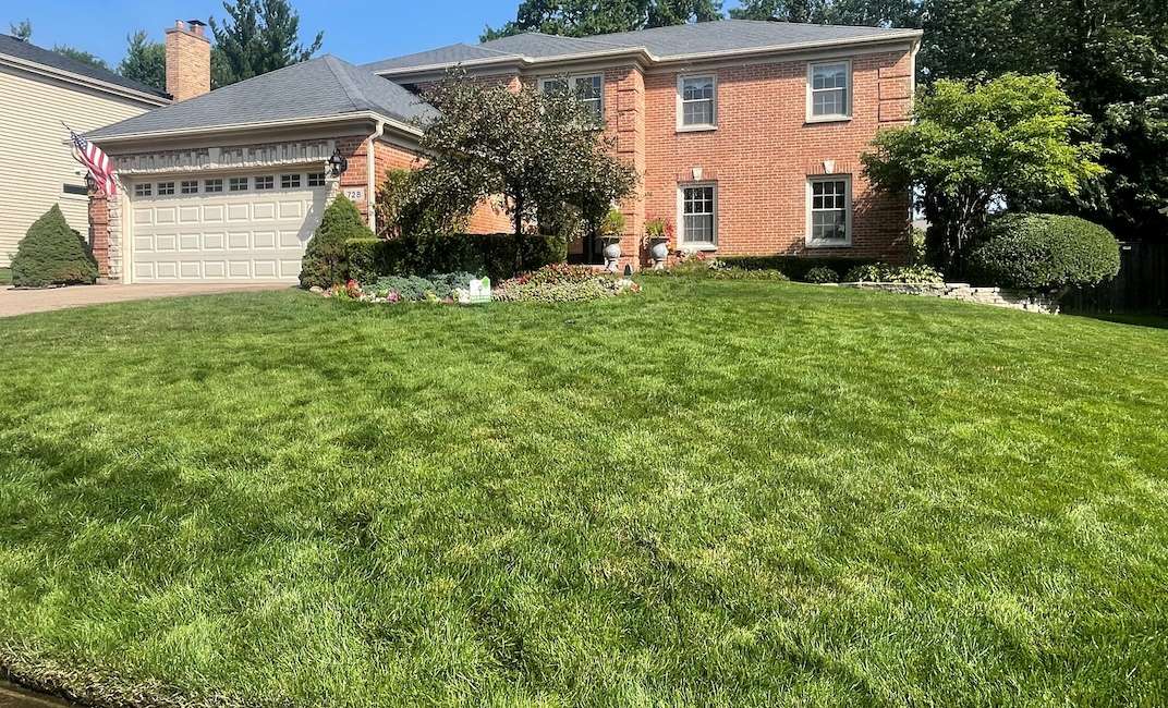 Emerald Lawn Care Launches End-of-Summer Overseeding and Liquid Aeration Services to Restore Chicago Lawns