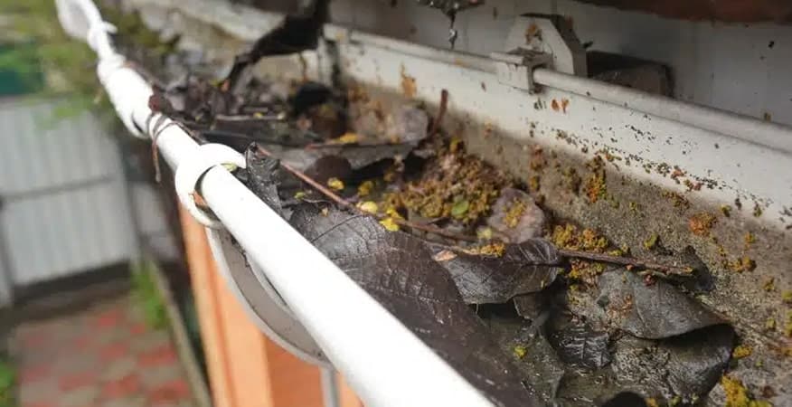 Ease Your Panes Expands to Offer Expert Gutter Cleaning in Denver