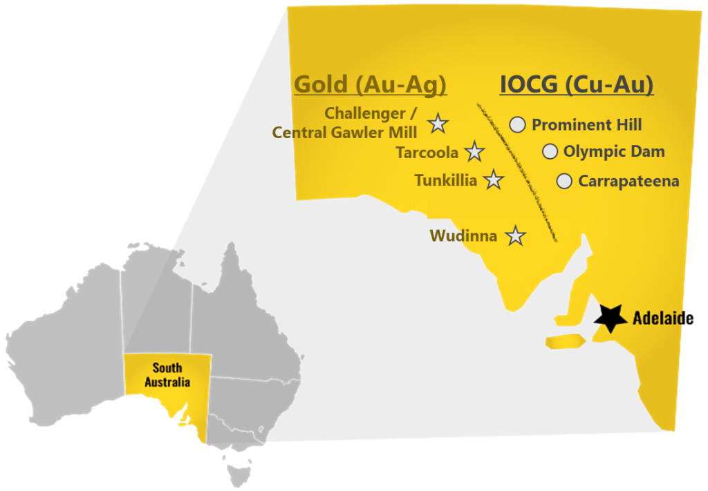 Wudinna Gold Project – Grant of New Tenements