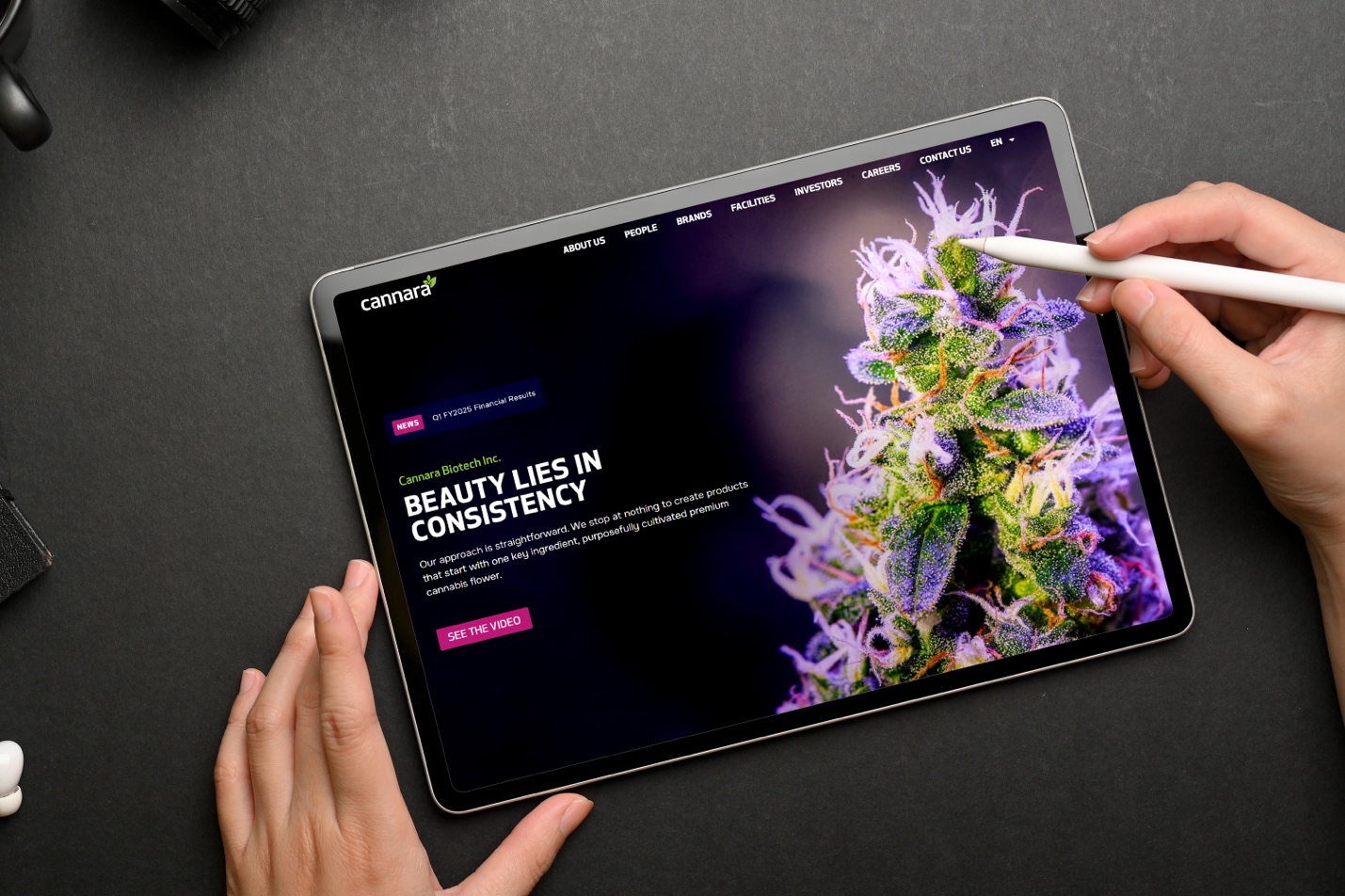 Waterloo’s CryoDragon Inc. Recognized for Web Design Excellence by Consumer Choice Award