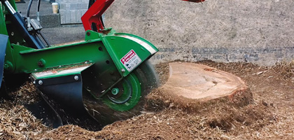 Smart Tree Service Highlights Professional Stump Grinding Solutions