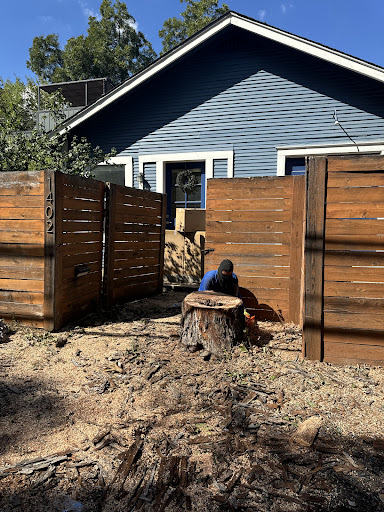 Box Tree Care Announces Winter Tree Trimming Service Preparation for Storm Season