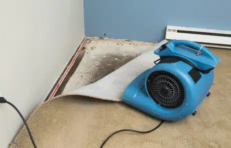 ARC Restoration Addresses Mold Health Risks Following Water Damage in Denver Homes
