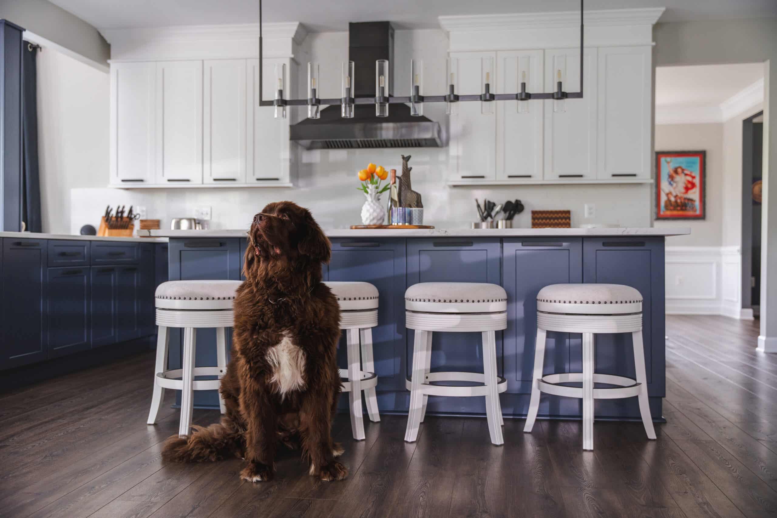 USA Cabinet Store Announces Expanded Turnkey Kitchen Remodeling Services in Cherry Hill