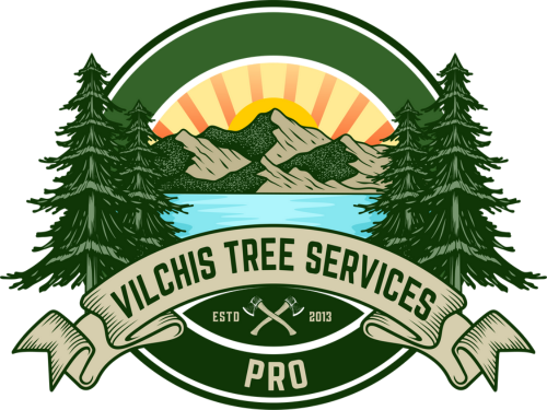 Vilchis Tree Services Pro Celebrates Hispanic Heritage and Community Unity Through Acworth Concert on The Green