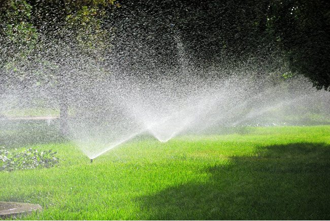 EPS Landscaping & Tree Service Addresses Water Restrictions with Advanced Lawn Sprinkler Systems
