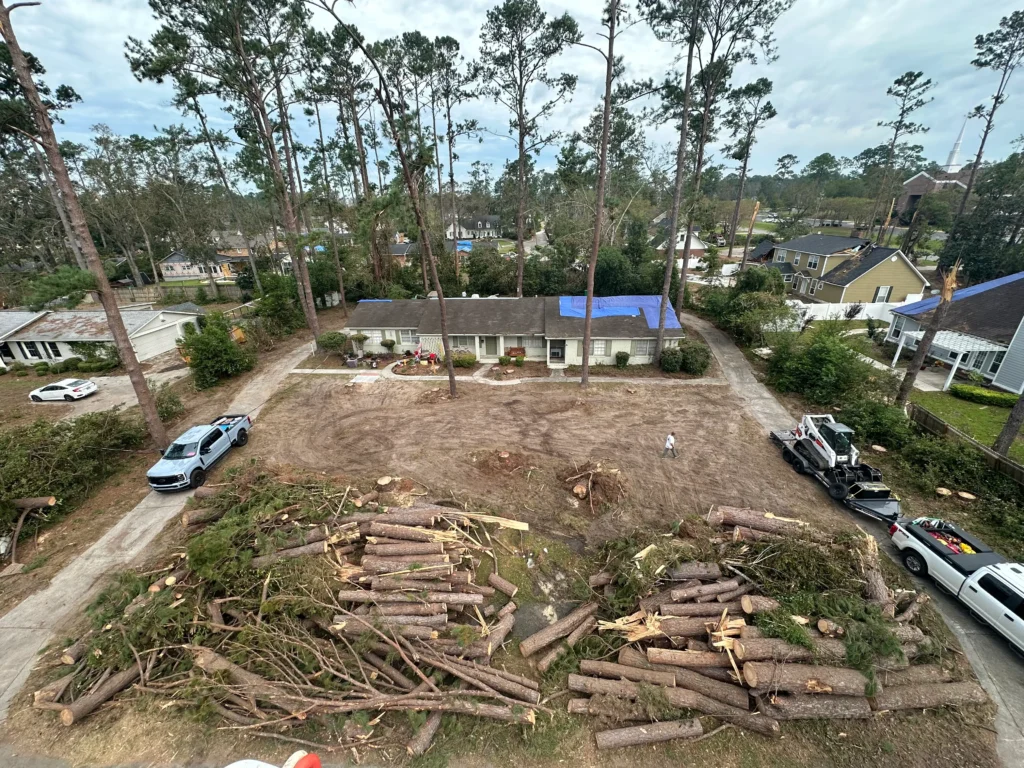 Green Arbor LLC Expands Tree Trimming and Removal Services Across Four-State Region