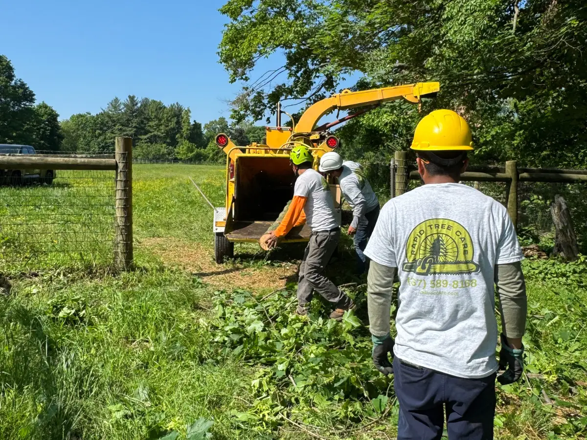 Rapid Tree Care Expands Philadelphia Operations with New South Philadelphia Location