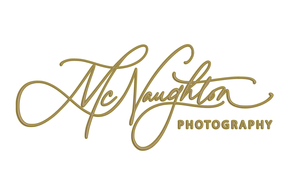 McNaughton Photography Emphasizes Legacy Preservation Through Portrait Services in Quad Cities